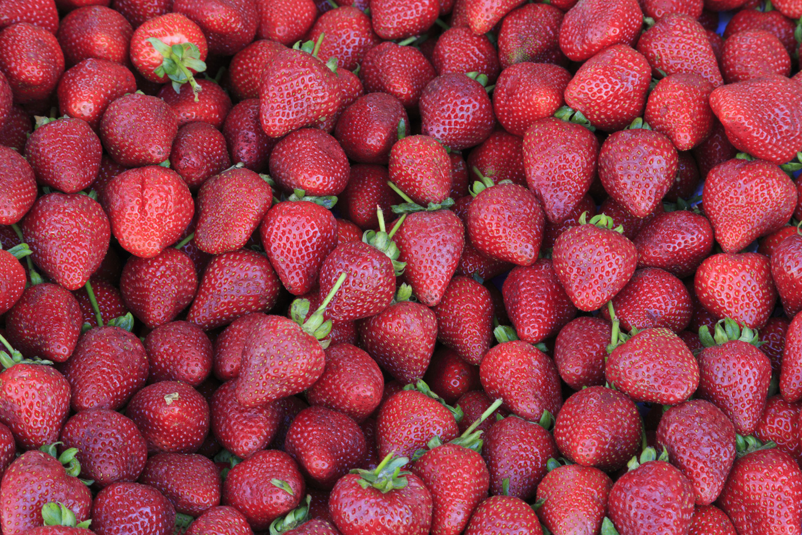 Easy trick to remove stems from strawberries will change your life